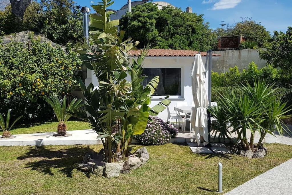 Casa Vacanza M&C Ischia Forio di Ischia Екстериор снимка
