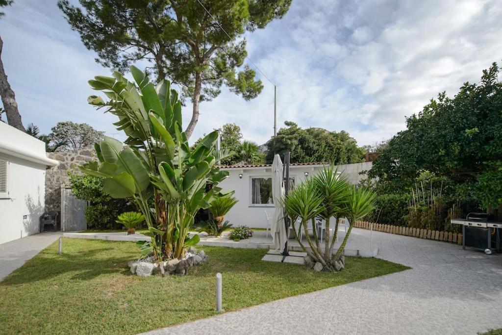 Casa Vacanza M&C Ischia Forio di Ischia Екстериор снимка