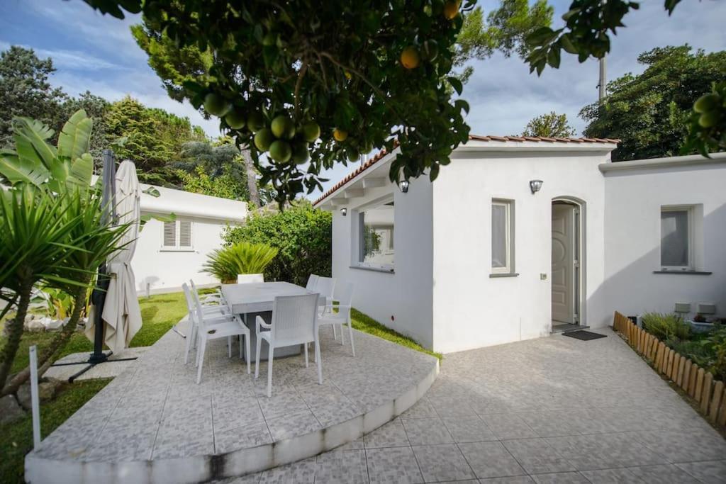 Casa Vacanza M&C Ischia Forio di Ischia Екстериор снимка